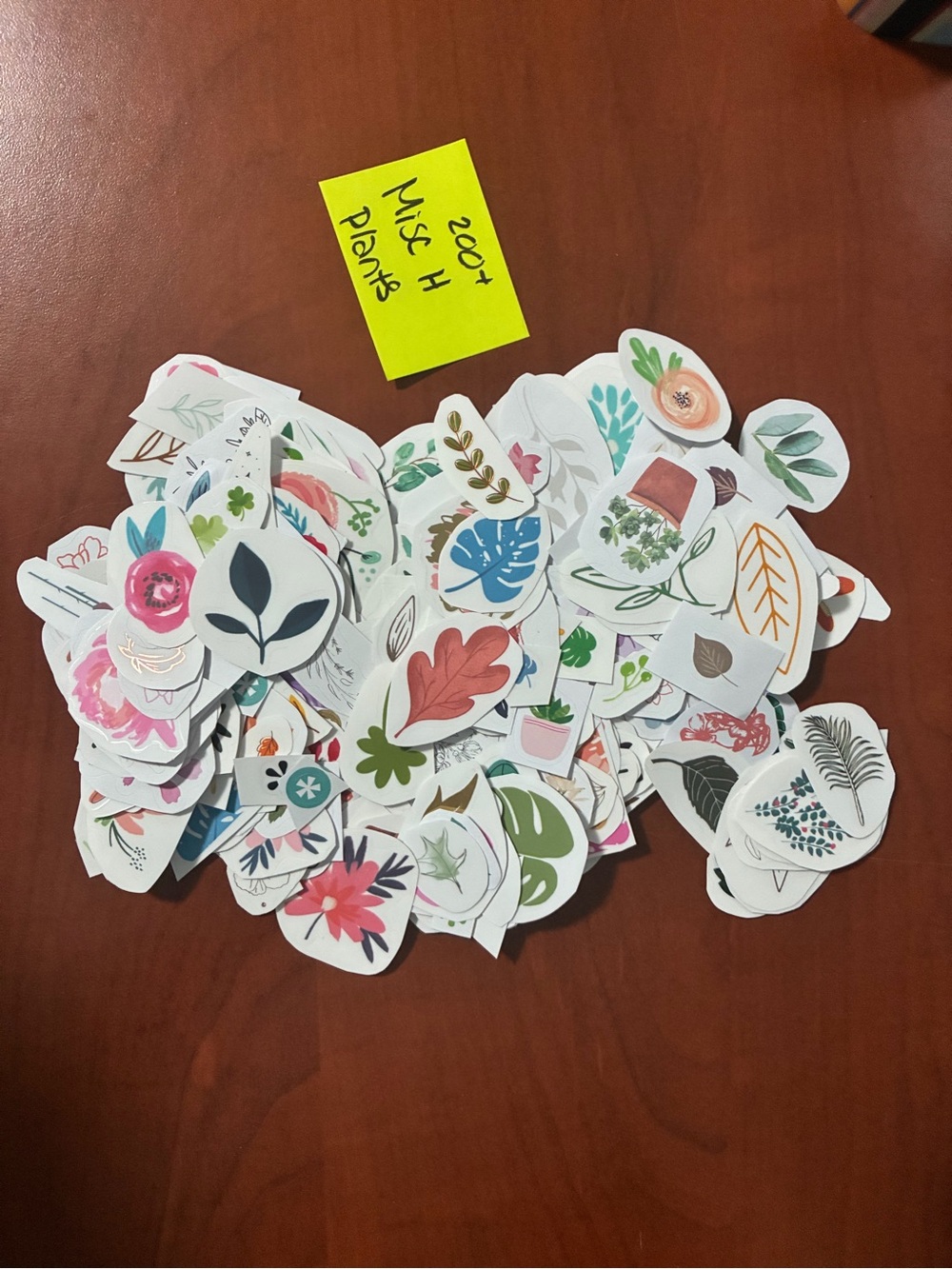 Floral & Botanical Sticker Assortment - Multi Color -